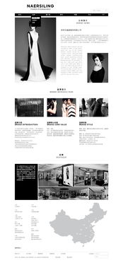 網(wǎng)站與網(wǎng)頁設計 構建數(shù)字世界的藝術與科學